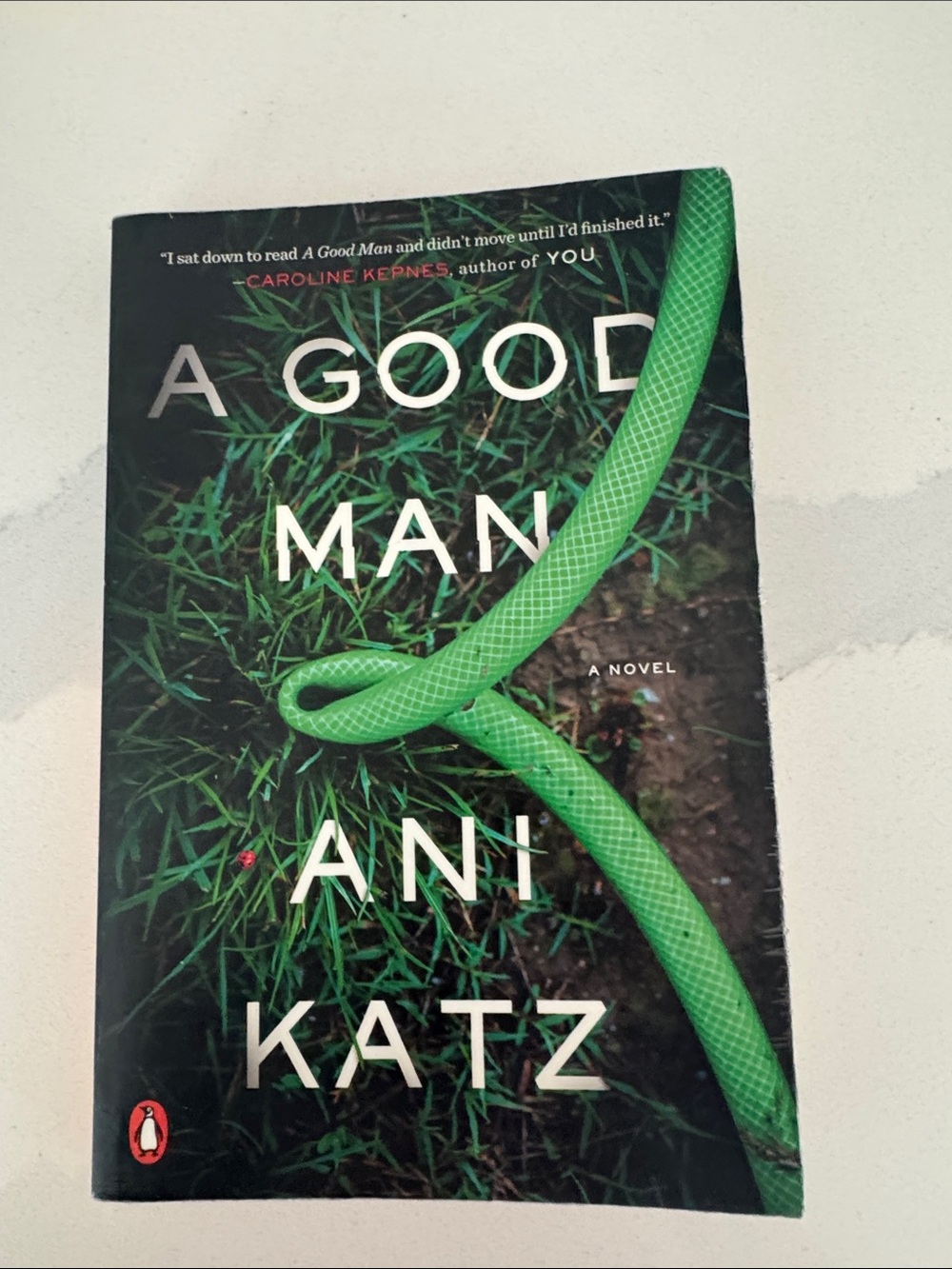 A Good Man by - Ani Katz